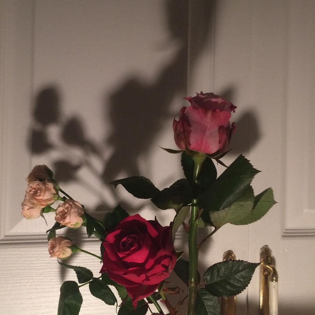 ♡ 𝒹𝑜𝓁𝓁 𝓅𝒶𝓇𝓉𝓈 ♡