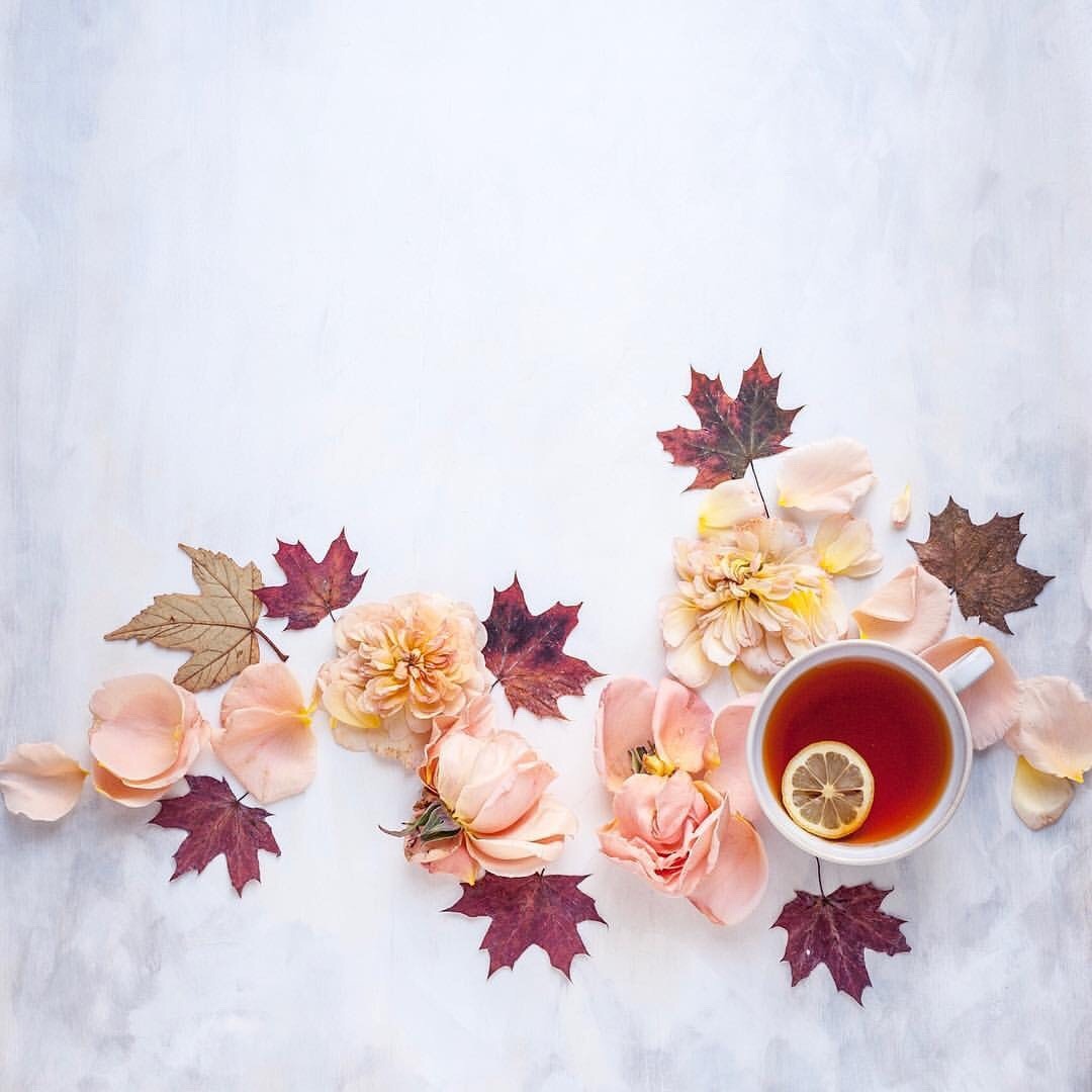 fleur-aesthetic: instagram | c_colli 