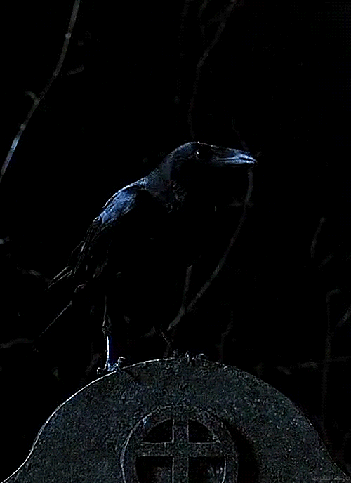 ilovebrandonleeforever:The Crow (1994)