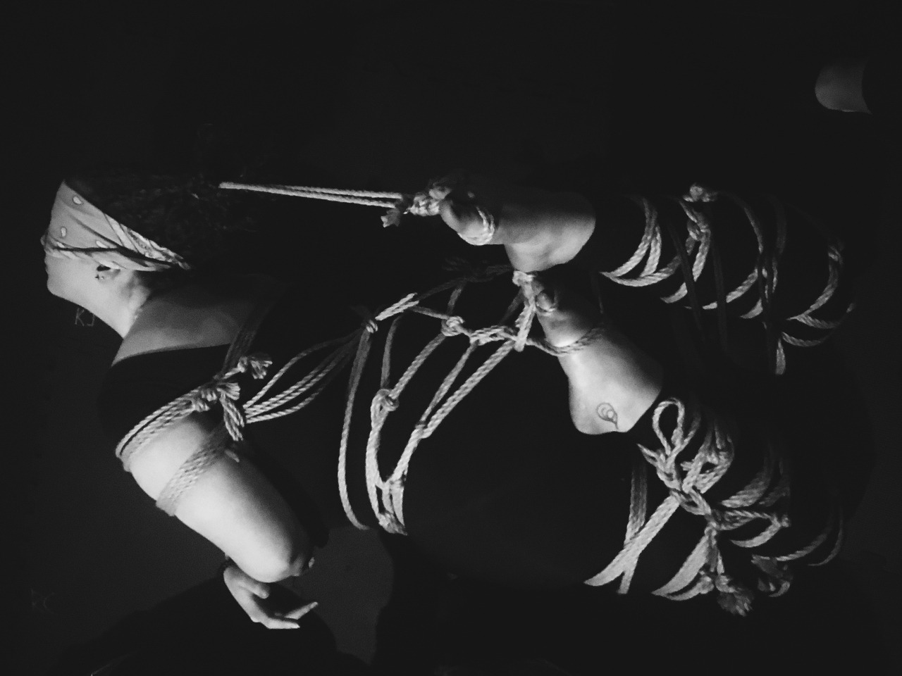 raevyin: Rope: Jade Model: Me  Do not remove caption 
