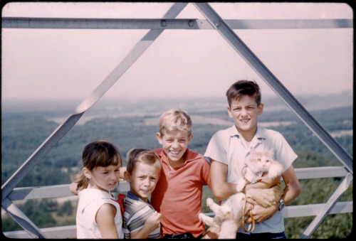 andy, steve, jim, and bob at wisconsin dells lookout tower. august 1962