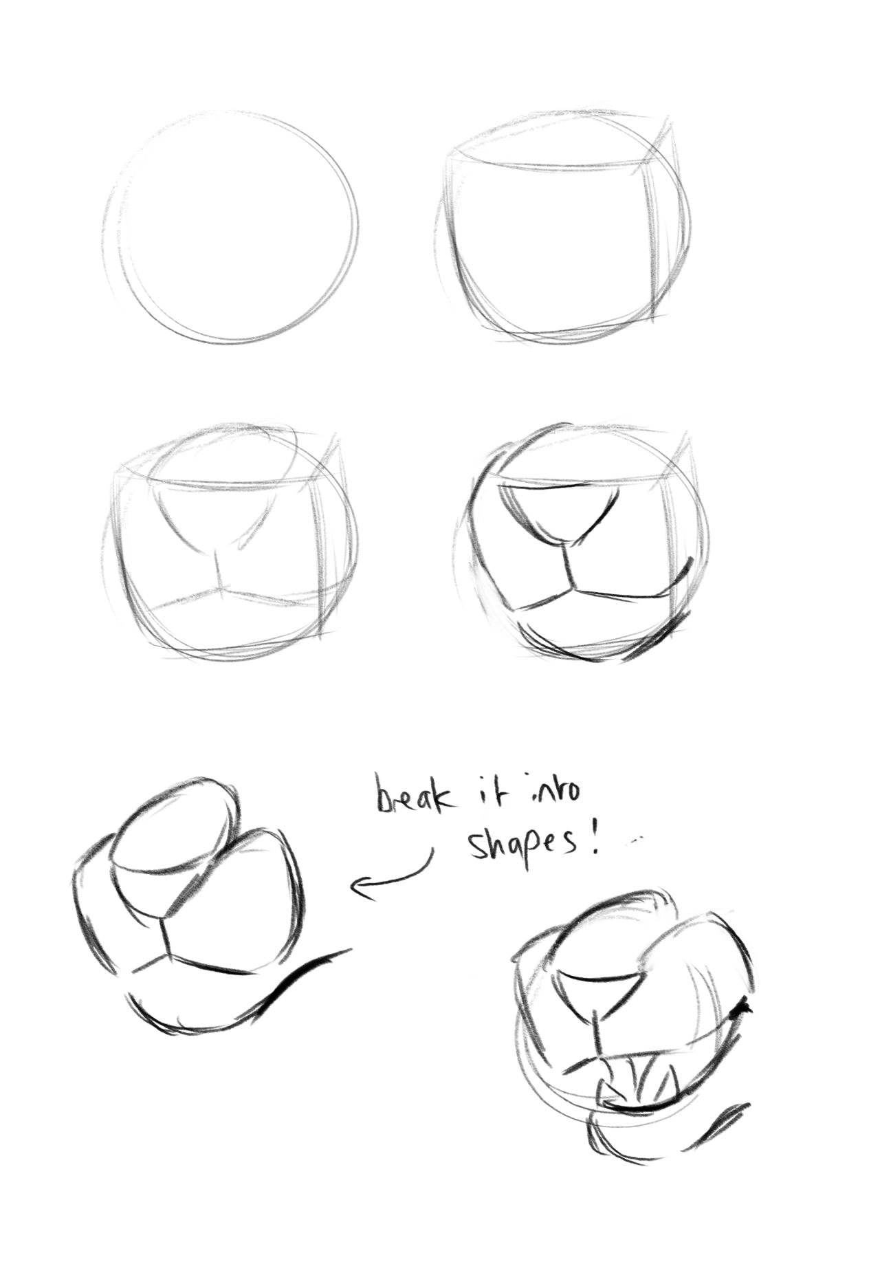 Cat Drawer Snail Keeper — How Do You Draw The Like...3/4 Muzzle View ??