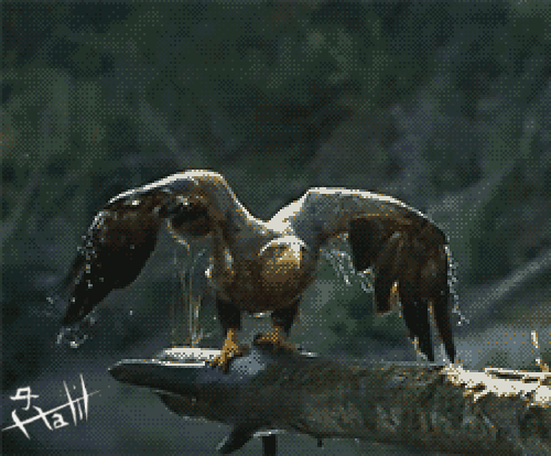 satiriyadis35:  eagle power