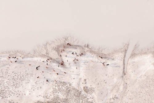 oldtimefriend: Zack Seckler Beautiful colors and patterns from Botswana. ‘Being above the grou