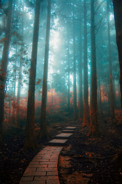 plasmatics-life:  The Path In My Dream ~