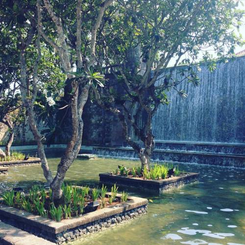 trucminhvo:  Last day in Bali, a tour of the grounds #bali (at Conrad Bali)