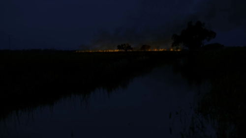 mydarktv: True Detective // Season One // by Cary Fukunaga and Nic Pizzolatto