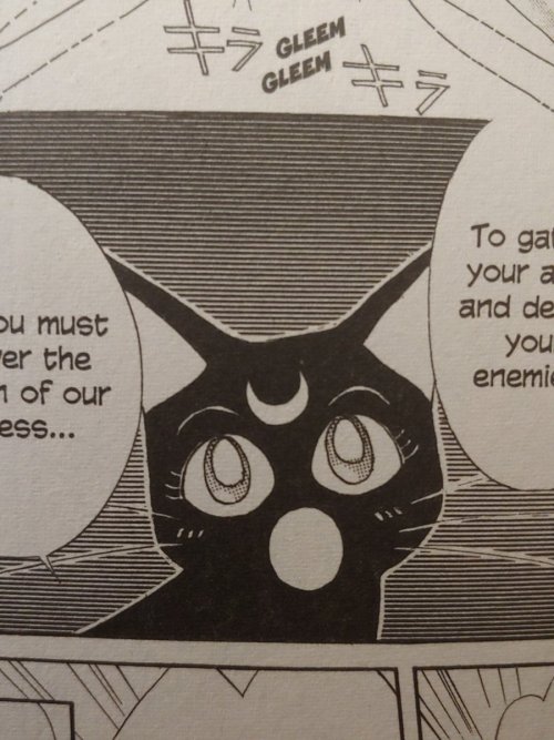 sailormoonsub:I have nothing but pure respect for the way Naoko Takeuchi draws cats