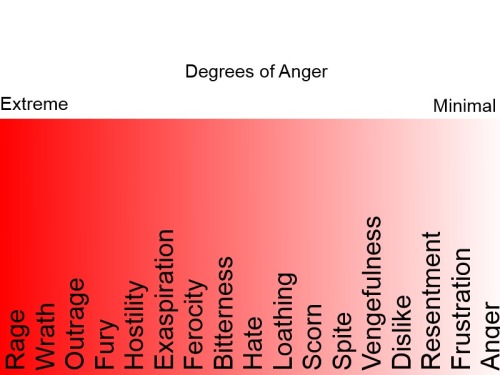 xavesdasbandit:  comebackintoyou:  twerkingforlucifer:  Degrees of EmotionIt annoys me to no end when people have a bad day and talk about how “depressed“ they are. So, I made some emotional scales. These show the extremes of emotions and the most