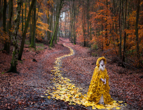sixpenceee:  Pohtos by Kirsty Mitchell. Her Wonderland, which sees fantastical, opulent costumes in beautiful natural settings, took her six years to complete.Check out these surreal photo manipulations by Kevin Corrado. 