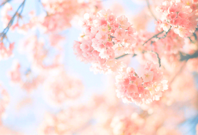 they will never end ✩