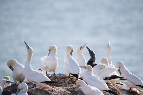 Birds flying high you know how I feel.September, 2019.