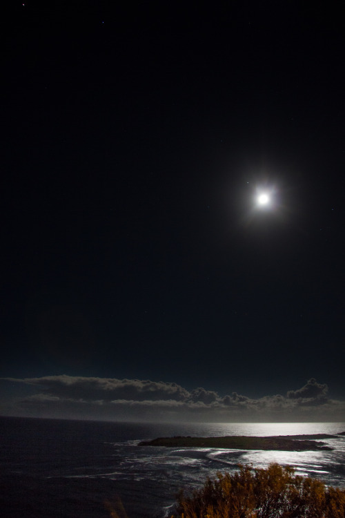 sexy-uredoinitright:  “Moonlit Paradise”  sooooooooooooooooo pretty