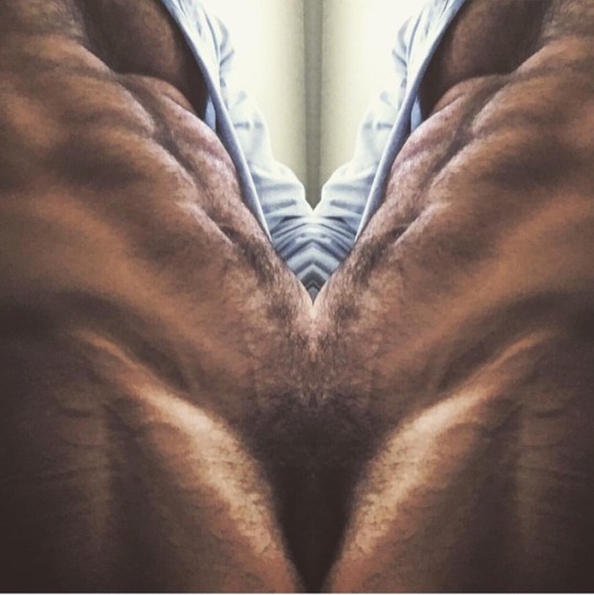 pellejunior32: