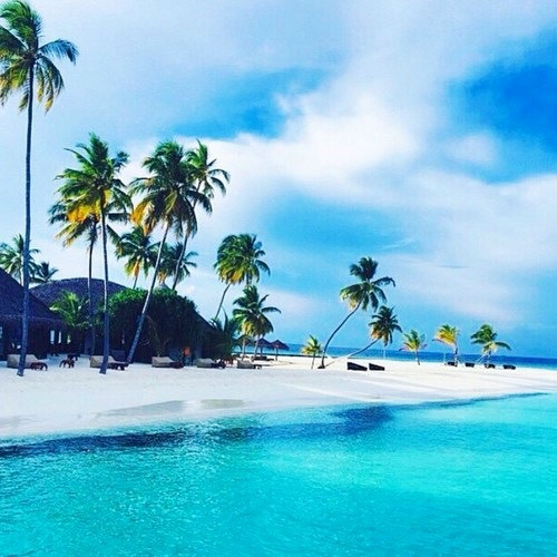 clear skies & open seas