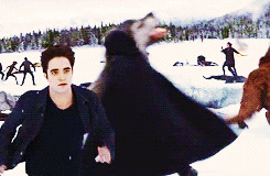 2022 and still love twilight