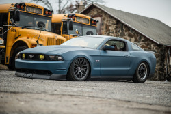 ford-mustang-generation:  DSC_9880 by Rob Rabon Photography on Flickr.