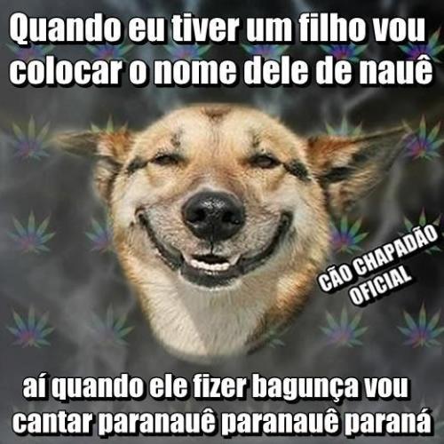 piadasdomarcio
