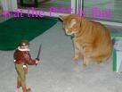 videogamebf:  some excerpts from my photobucket account that i had when i was 11