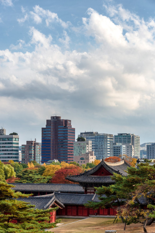 Autumn at Changgyeonggung Palace.