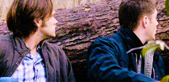 gadree-deactivated20140530:  Make Me Choose: Heaven vs. Purgatory (asked by seaofplaid)