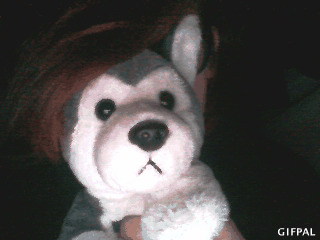 jennymuffinkiller:  Me with a wolf. mnihihih