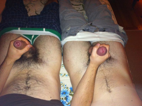 I love porn, bro.