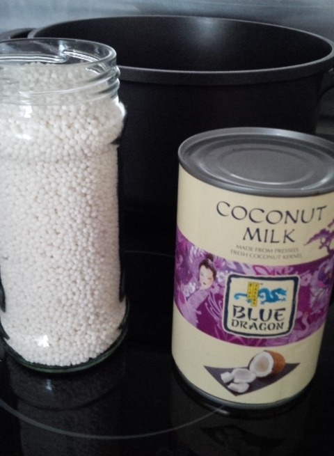 Guest Post: Chef Dudu Tapioca Pudding