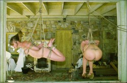 Bdsm-Place:  Follow Bdsm Place For More Bondage Photography Don’t Forget To Check