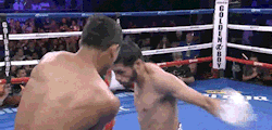https://69.media.tumblr.com/1e9670dd5c747901cecc4de4706dd657/tumblr_ms36kzEibM1qaa8d1o1_500.gif