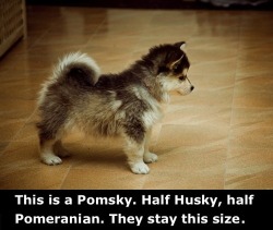 cooolasssluusshhh:  Want one