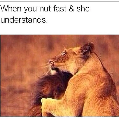 Sex   Lmaooo y’all play too much  Yoo ahaha pictures