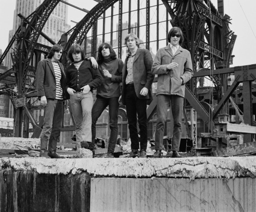  Blues Magoos photographed by Don Paulsen in New York City, circa 1966. The group consists of keyboa