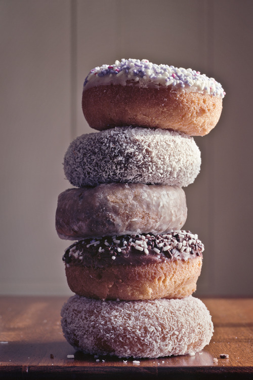 plasmatics-life:  Donuts | (by Dan Grenier)