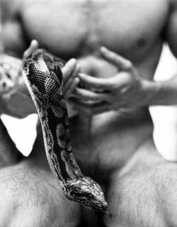 dhophos:▶ the SnakE ▶ more at @dhophos