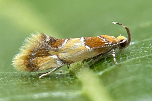 I See At Least One Cool Bug A Day, And Usually Many More, But Its Not Because I Live Anywhere Particularly