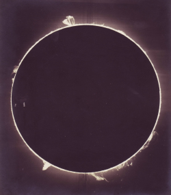 dame-de-pique: Unidentified photographer - Eclipse, 1929