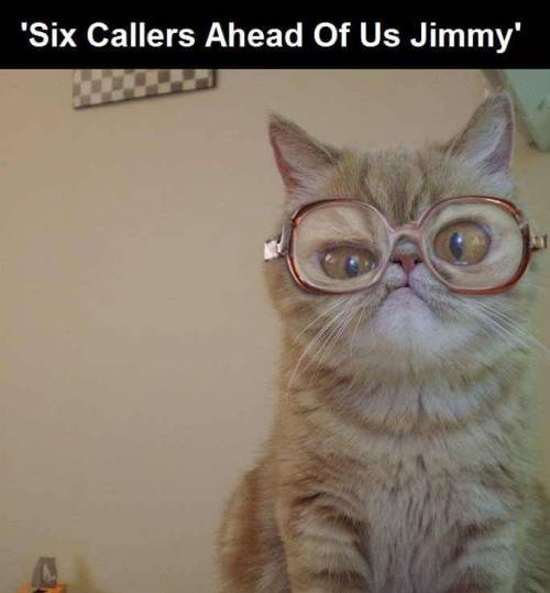 lady-war-of-the-ring-stars:I’m still giggling.