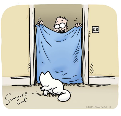 catsbeaversandducks: By Simon’s Cat Official adult photos