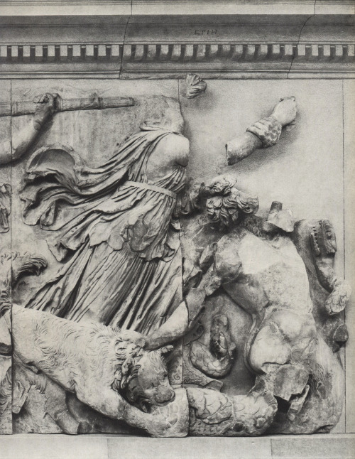 animus-inviolabilis: The Pergamon Altar FriezeDetail of Asteria fighting a giant 2nd Century B.C.