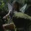 fairywilds