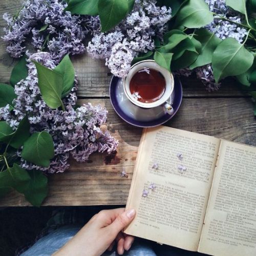 syflove:time to read,and tea
