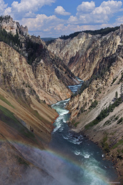 riverwindphotography:  Rainbow over the River: The Grand Canyon of the Yellowstone River below the Lower Falls, Yellowstone National Park, Wyoming by riverwindphotography, June 2015 