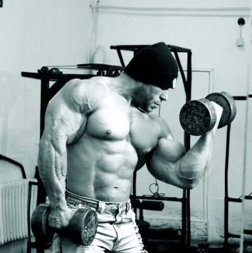 hardbulls:  Dimitar Dimitrov 