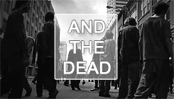 empressmcbride:  TWD Meme: 4 Quotes↳ [ 2/4 ]“We survive this by pulling together,