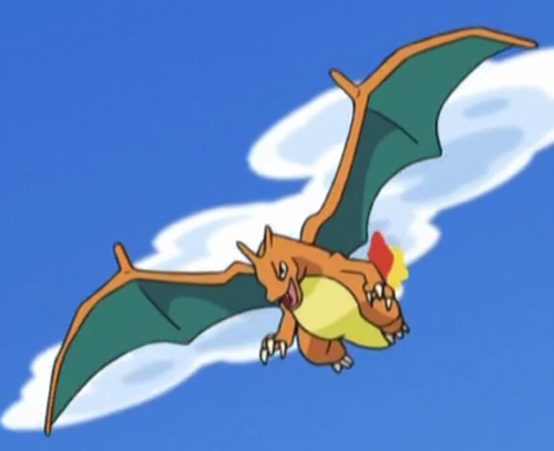 commanderpigg:charizard will fuck u up son