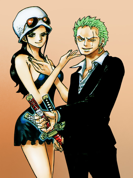 Zoro x robin