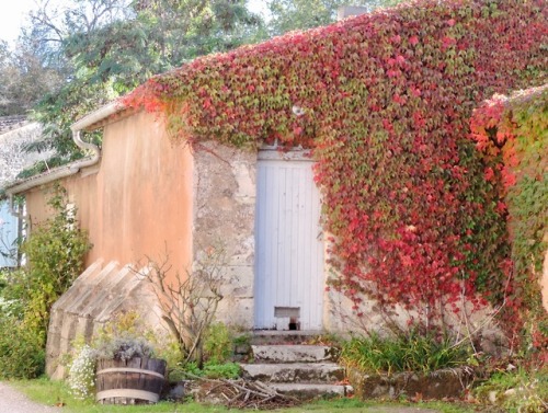 Couleurs d'automne, Blaye, Gironde, Nouvelle-Aquitaine, 2017.