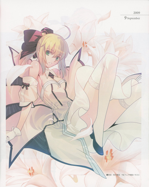 animeslovenija:  From Fate/Art Chronicle booklet, you can get it at the source, or check the complete gallery, if want to check if it’s worth it. None of this is exactly new, but you might have seen them reuploaded to image aggregators recently.