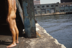 Raveneuse:  Frank Hallam, Swimmer (Pier 46), 1979. 